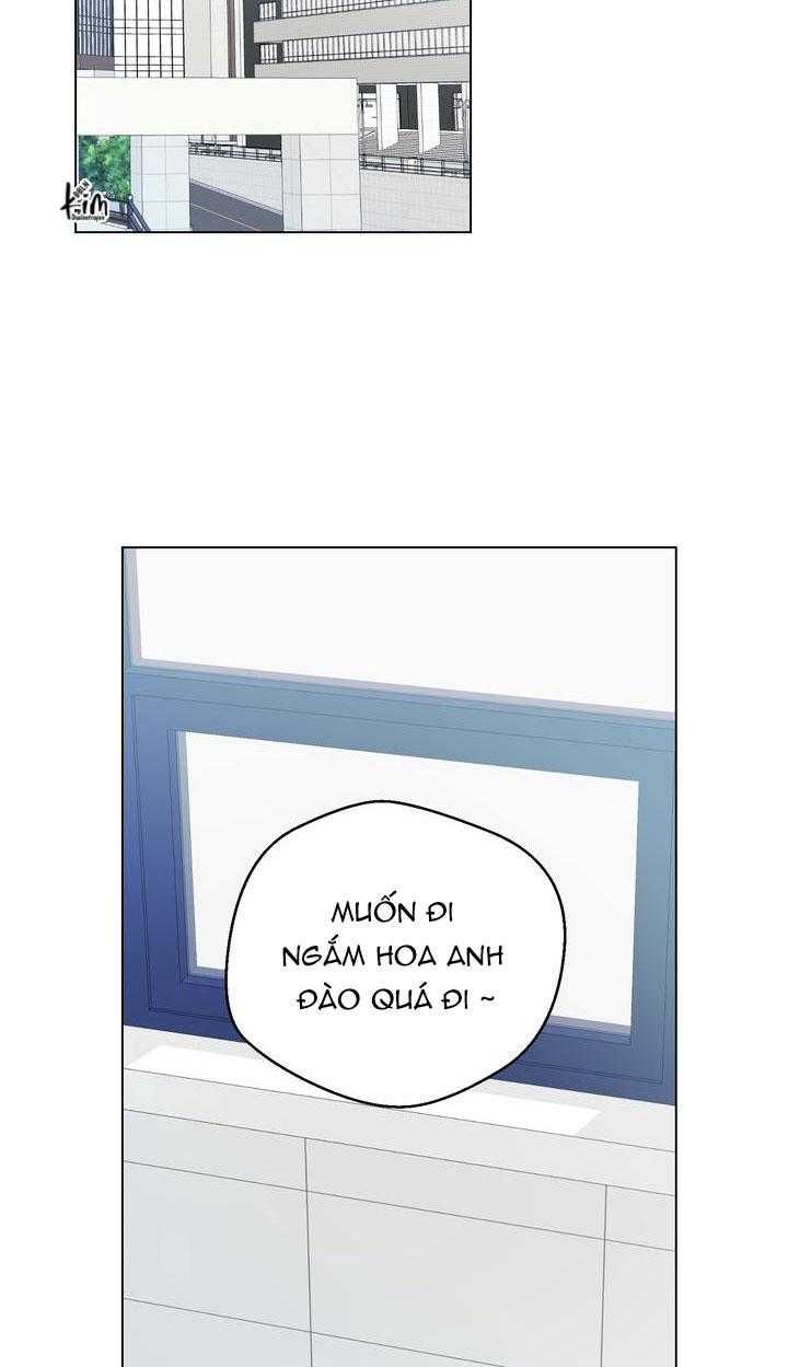 đọc truyện Bánh Quy Tình Yêu Tan Chảy Chương 11 ảnh 12 tại Thiên Thai Truyện