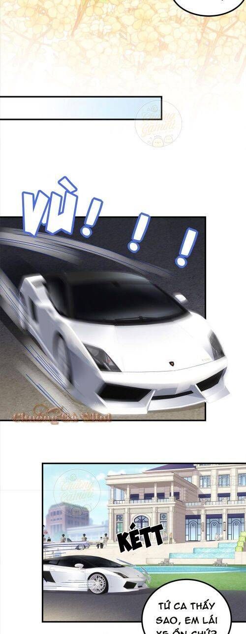 đọc truyện Bảo Bối Tâm Gan Của Lão Đại Xuyên Không Trở Lại Rồi Chương 60 ảnh 10 tại Thiên Thai Truyện