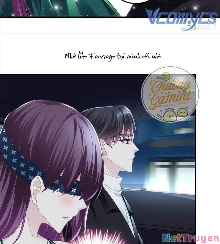 đọc truyện Bảo Bối Tâm Gan Của Lão Đại Xuyên Không Trở Lại Rồi Chương 64 ảnh 19 tại Thiên Thai Truyện