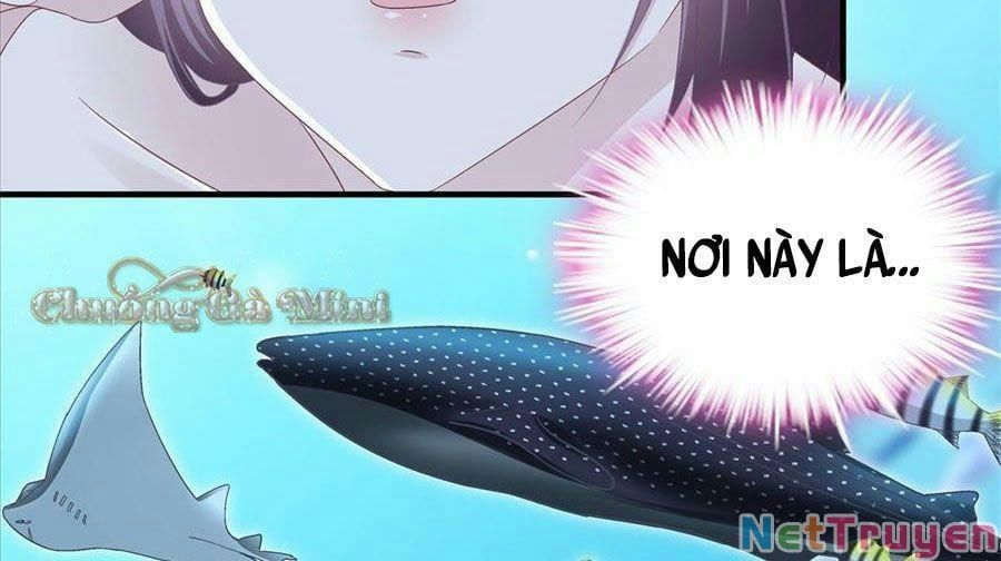 đọc truyện Bảo Bối Tâm Gan Của Lão Đại Xuyên Không Trở Lại Rồi Chương 64 ảnh 53 tại Thiên Thai Truyện