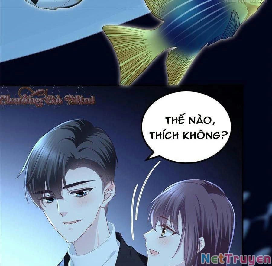 đọc truyện Bảo Bối Tâm Gan Của Lão Đại Xuyên Không Trở Lại Rồi Chương 64 ảnh 56 tại Thiên Thai Truyện