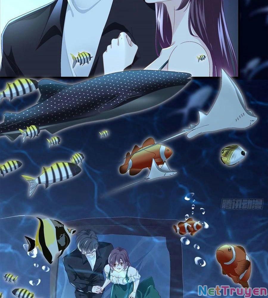 đọc truyện Bảo Bối Tâm Gan Của Lão Đại Xuyên Không Trở Lại Rồi Chương 64 ảnh 57 tại Thiên Thai Truyện