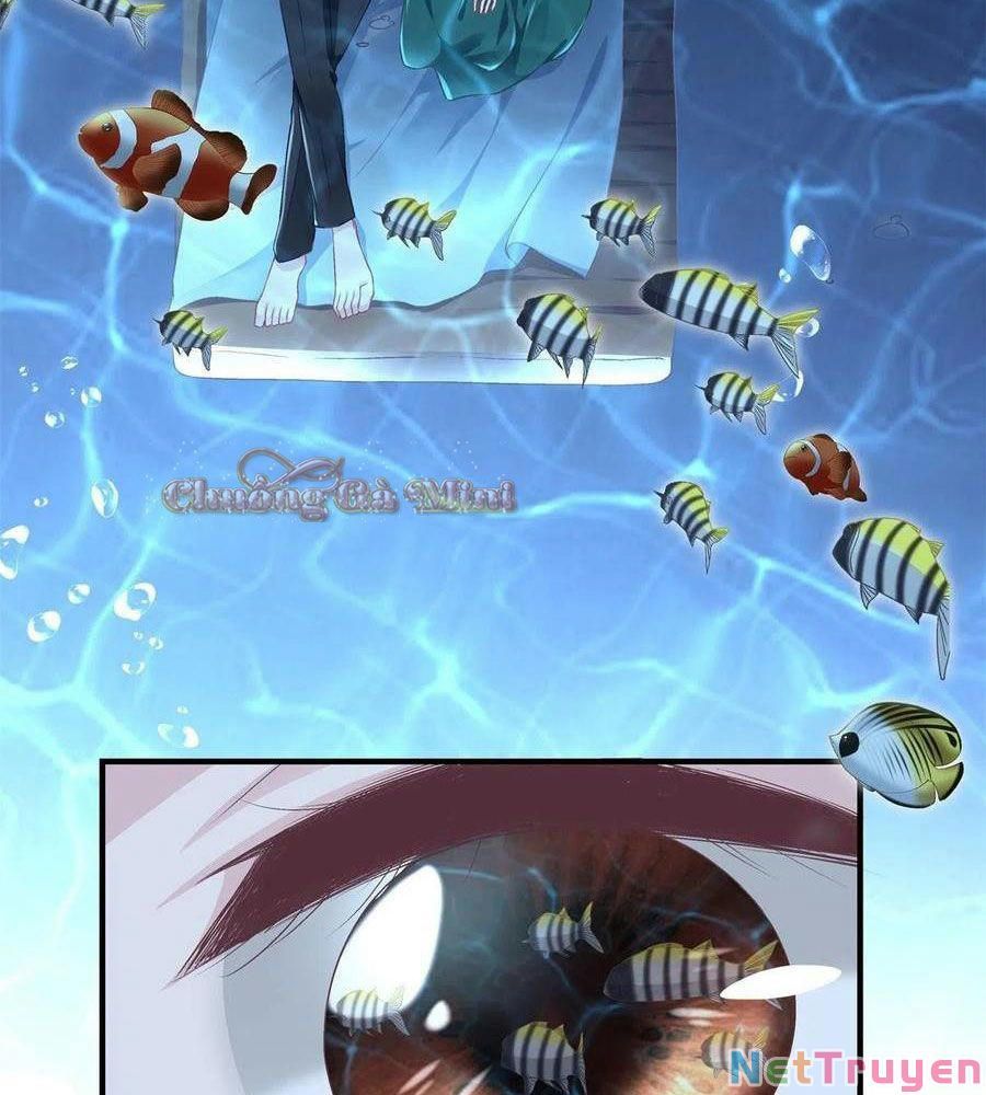 đọc truyện Bảo Bối Tâm Gan Của Lão Đại Xuyên Không Trở Lại Rồi Chương 64 ảnh 58 tại Thiên Thai Truyện