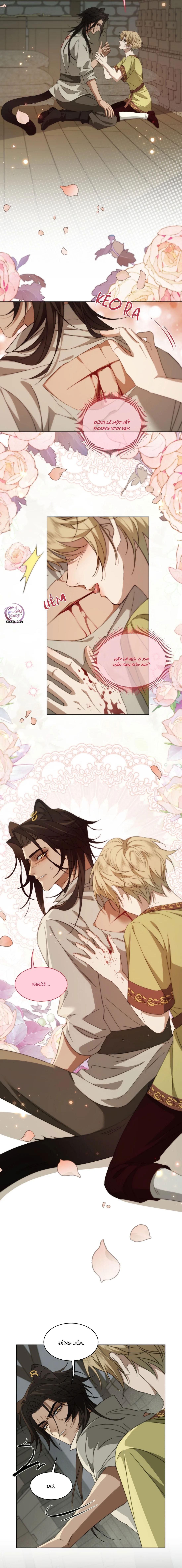 đọc truyện Báo Đen Chiếm Đoạt Hoàng Tử Yếu Đuối Chương 11 ảnh 8 tại Thiên Thai Truyện