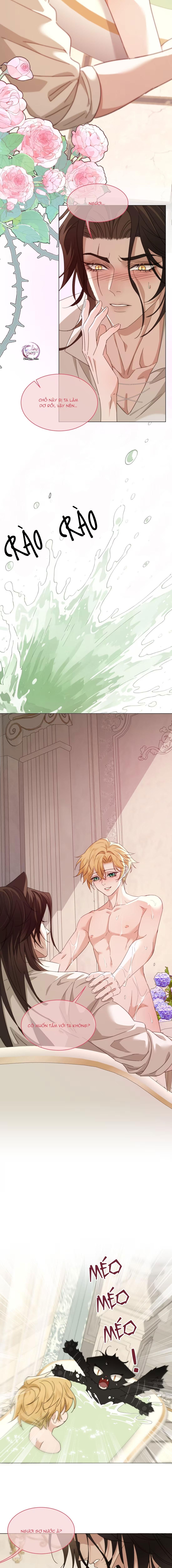 đọc truyện Báo Đen Chiếm Đoạt Hoàng Tử Yếu Đuối Chương 12 ảnh 7 tại Thiên Thai Truyện