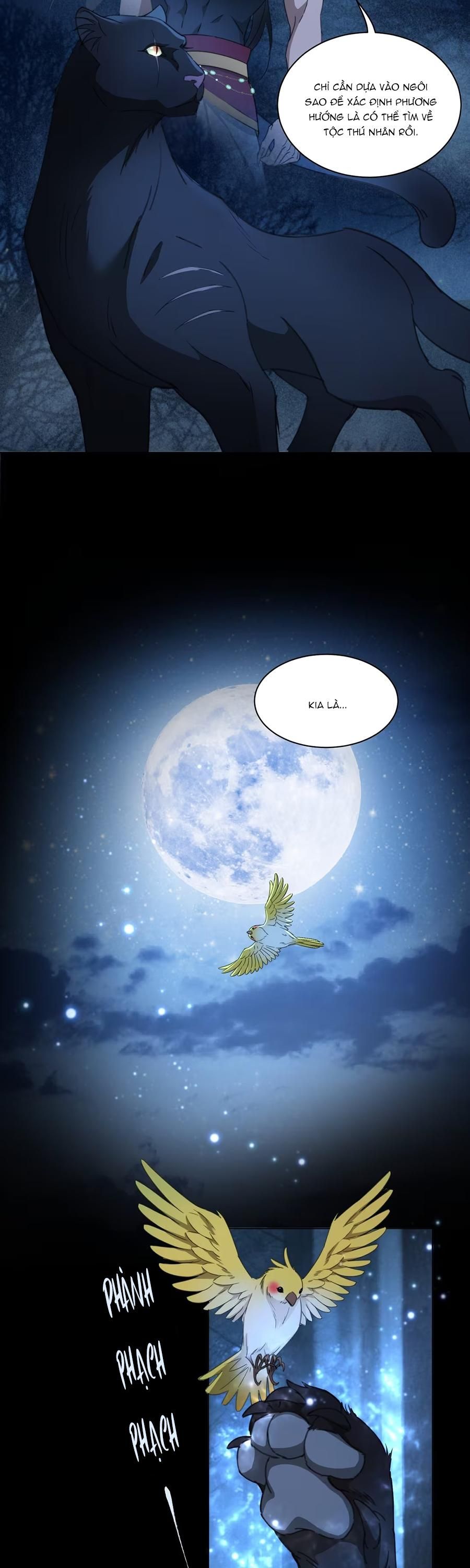 đọc truyện Báo Đen Chiếm Đoạt Hoàng Tử Yếu Đuối Chương 7 ảnh 12 tại Thiên Thai Truyện