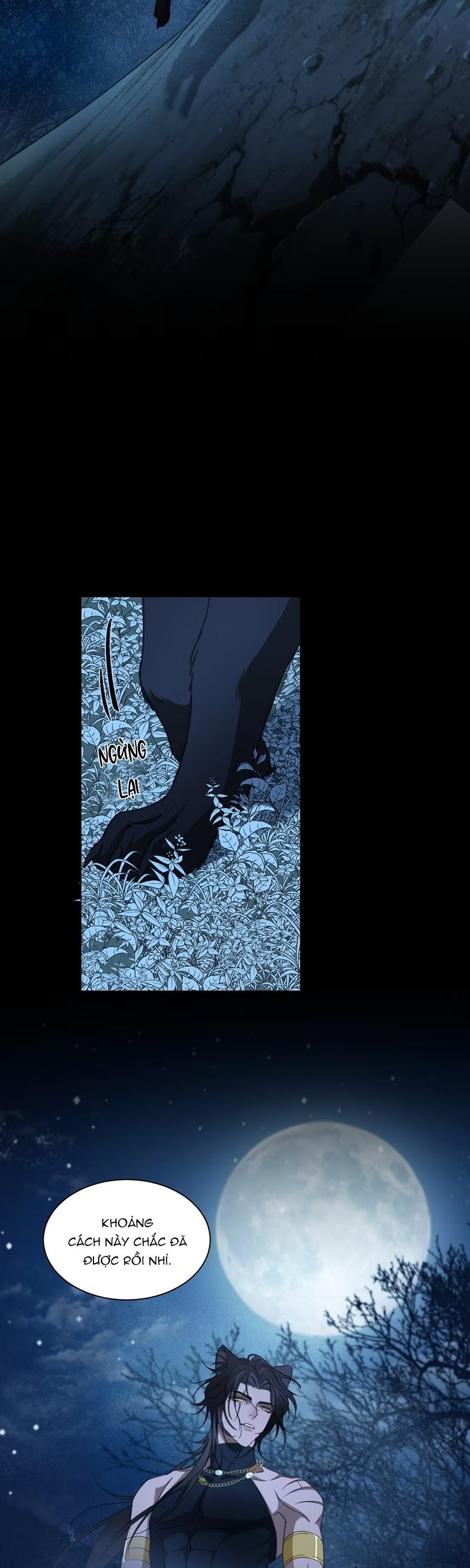 đọc truyện Báo Đen Chiếm Đoạt Hoàng Tử Yếu Đuối Chương 7 ảnh 11 tại Thiên Thai Truyện