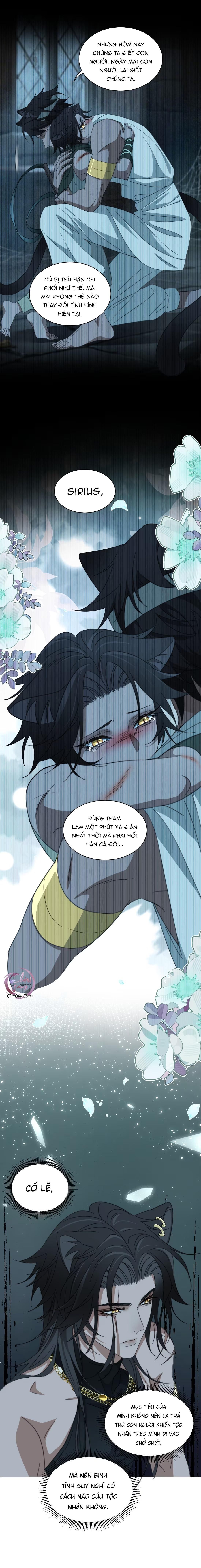 đọc truyện Báo Đen Chiếm Đoạt Hoàng Tử Yếu Đuối Chương 9 ảnh 5 tại Thiên Thai Truyện