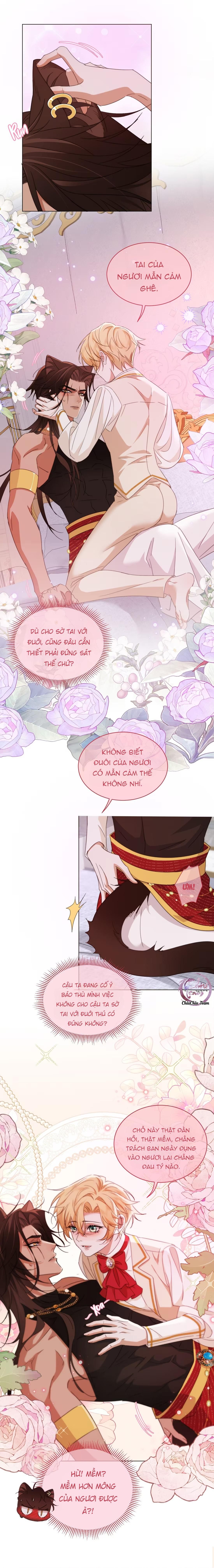 đọc truyện Báo Đen Chiếm Đoạt Hoàng Tử Yếu Đuối Chương 9 ảnh 10 tại Thiên Thai Truyện