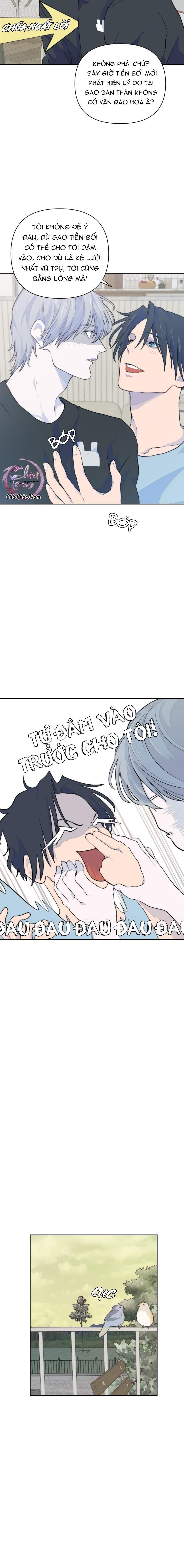 đọc truyện Bao Nuôi Tiền Bối Chương 10 ảnh 8 tại Thiên Thai Truyện