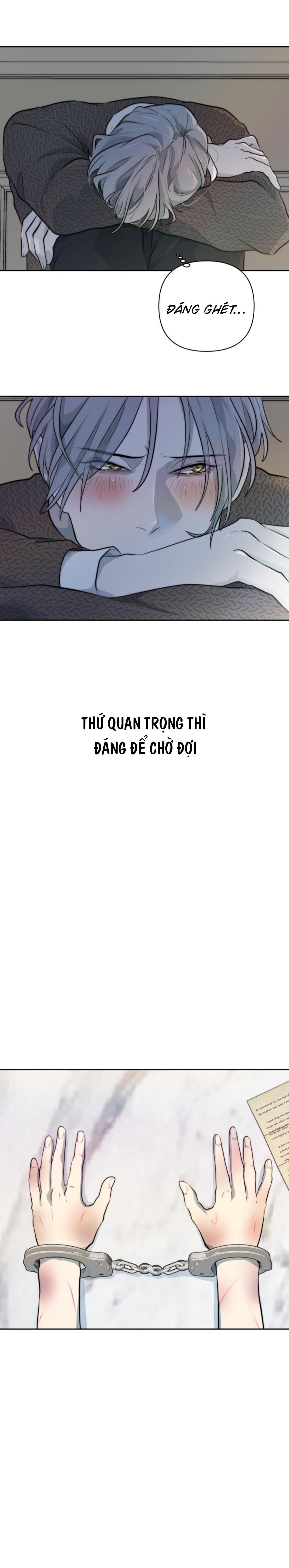 đọc truyện Bao Nuôi Tiền Bối Chương 38 ảnh 19 tại Thiên Thai Truyện