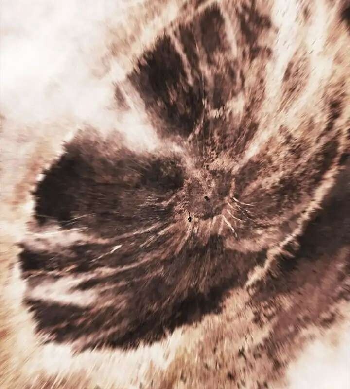 đọc truyện Bất Bại Chân Ma Chương 187 ảnh 108 tại Thiên Thai Truyện