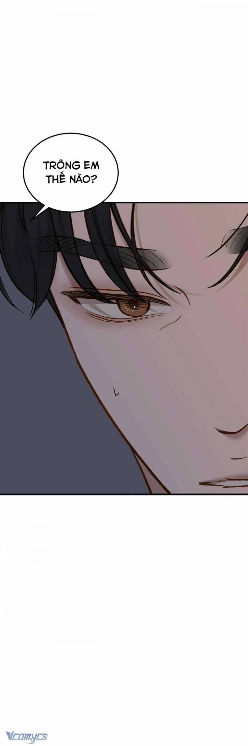 đọc truyện Bất Chấp Rủi Ro Chương 68 ảnh 19 tại Thiên Thai Truyện