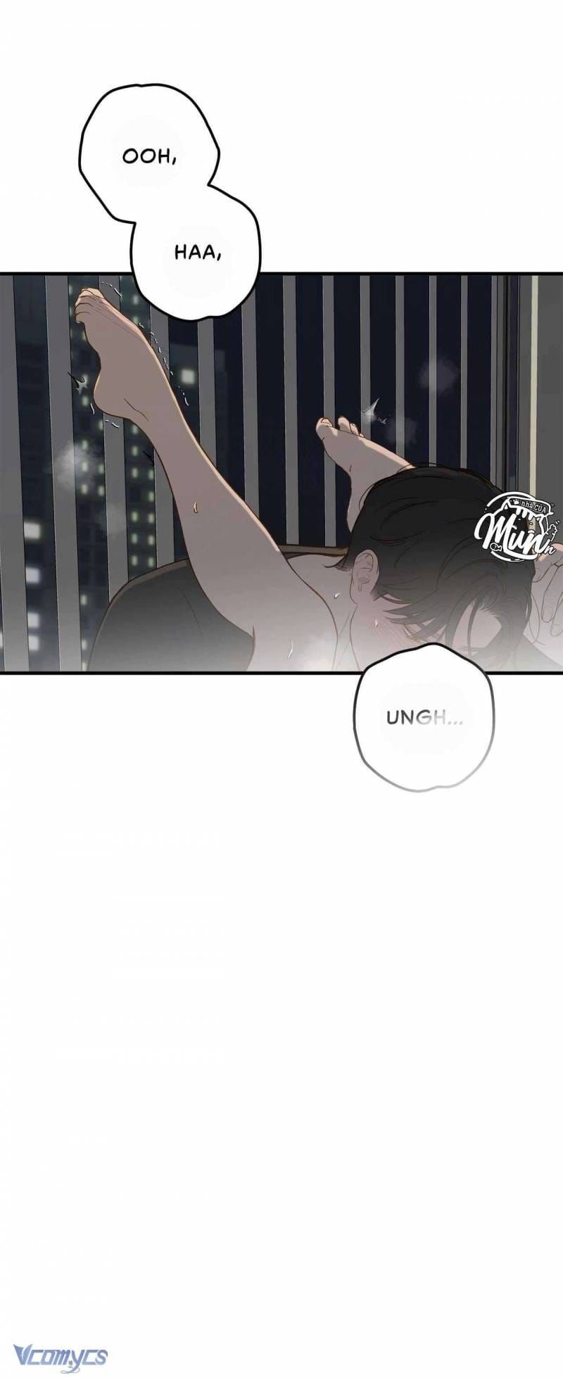 đọc truyện Bất Chấp Rủi Ro Chương 68 ảnh 33 tại Thiên Thai Truyện