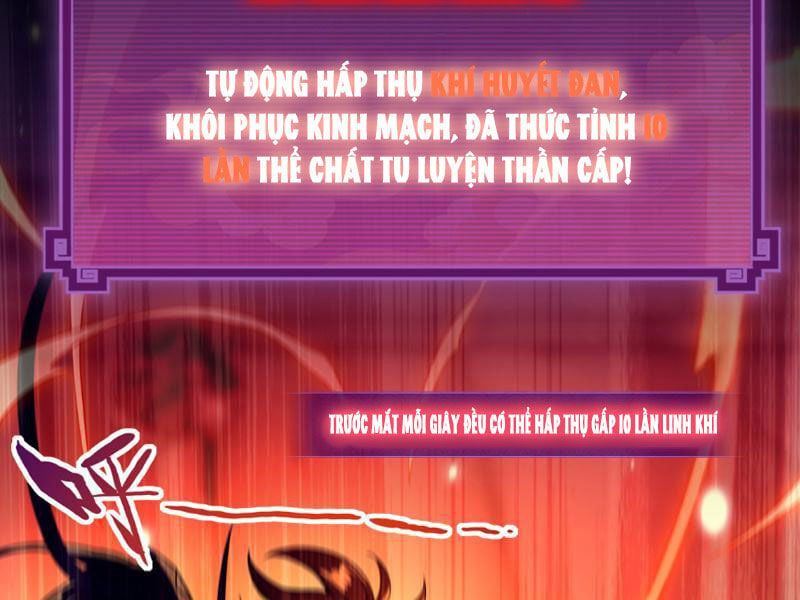 đọc truyện Bắt Đầu Chấn Kinh Nữ Đế Lão Bà, Ta Vô Địch! Chương 1 ảnh 115 tại Thiên Thai Truyện