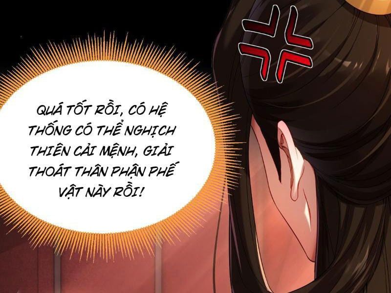 đọc truyện Bắt Đầu Chấn Kinh Nữ Đế Lão Bà, Ta Vô Địch! Chương 1 ảnh 73 tại Thiên Thai Truyện