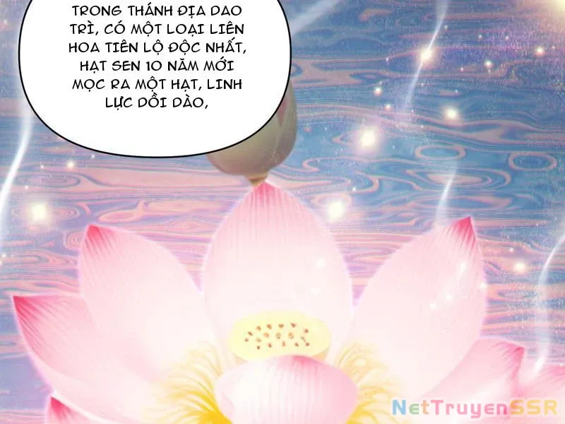 đọc truyện Bắt Đầu Chấn Kinh Nữ Đế Lão Bà, Ta Vô Địch! Chương 13 ảnh 108 tại Thiên Thai Truyện