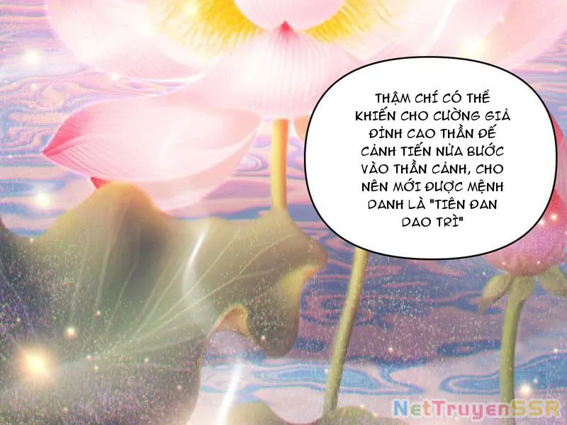 đọc truyện Bắt Đầu Chấn Kinh Nữ Đế Lão Bà, Ta Vô Địch! Chương 13 ảnh 109 tại Thiên Thai Truyện