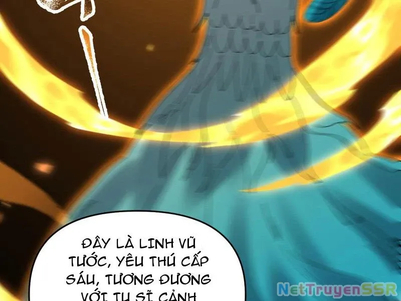 đọc truyện Bắt Đầu Chấn Kinh Nữ Đế Lão Bà, Ta Vô Địch! Chương 14 ảnh 52 tại Thiên Thai Truyện