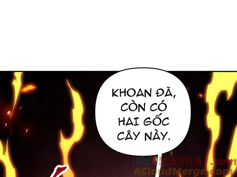 đọc truyện Bắt Đầu Chấn Kinh Nữ Đế Lão Bà, Ta Vô Địch! Chương 63 ảnh 128 tại Thiên Thai Truyện