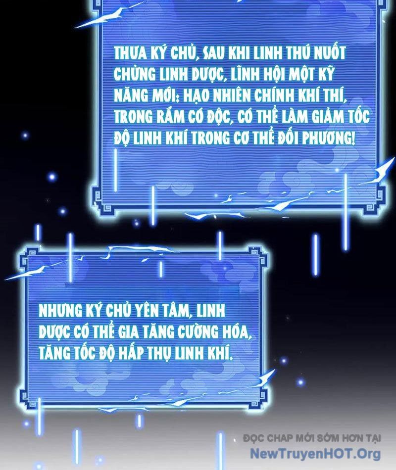 đọc truyện Bắt Đầu Chấn Kinh Nữ Đế Lão Bà, Ta Vô Địch! Chương 88 ảnh 69 tại Thiên Thai Truyện