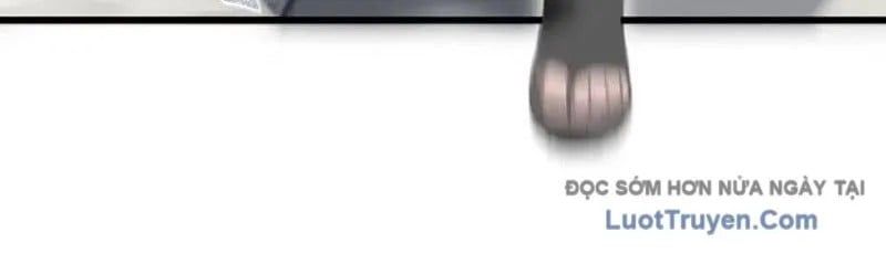 đọc truyện Bắt Đầu Đánh Dấu Hoang Cổ Thánh Thể Chương 125 ảnh 196 tại Thiên Thai Truyện