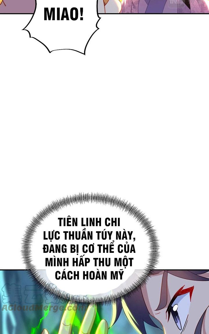 đọc truyện Bắt Đầu Quật Khởi Từ Làm Lô Đỉnh Chương 46 ảnh 25 tại Thiên Thai Truyện