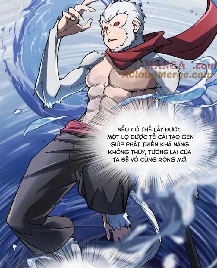 đọc truyện Bắt Đầu Từ Cửu Đầu Điểu Chương 294 ảnh 35 tại Thiên Thai Truyện