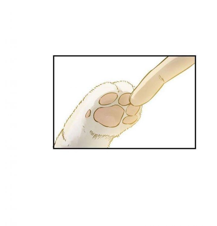 đọc truyện Bắt Đầu Từ Cửu Đầu Điểu Chương 94 ảnh 35 tại Thiên Thai Truyện