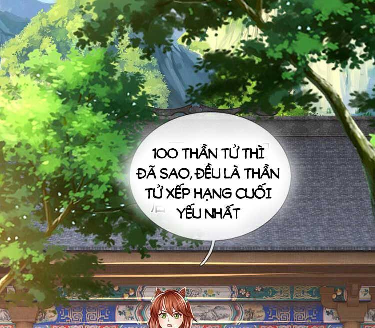 đọc truyện Bắt Đầu Với Chí Tôn Đan Điền Chương 246 ảnh 19 tại Thiên Thai Truyện