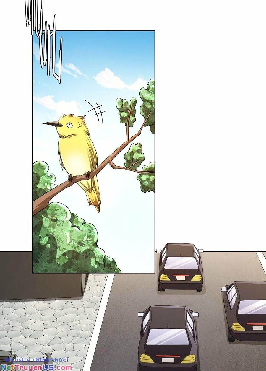 đọc truyện Bắt Đầu Với Trăm Vạn Minh Tệ Chương 82 ảnh 14 tại Thiên Thai Truyện