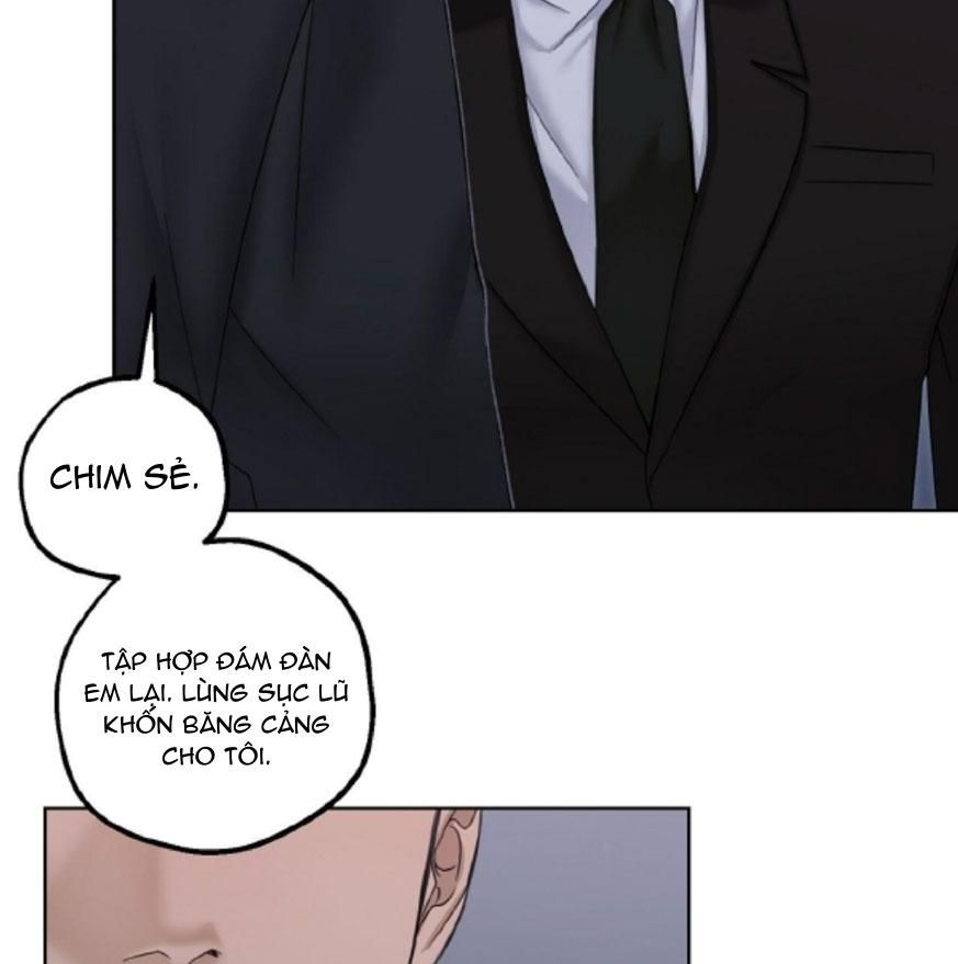 đọc truyện Bắt Kịp Chương 39 ảnh 45 tại Thiên Thai Truyện