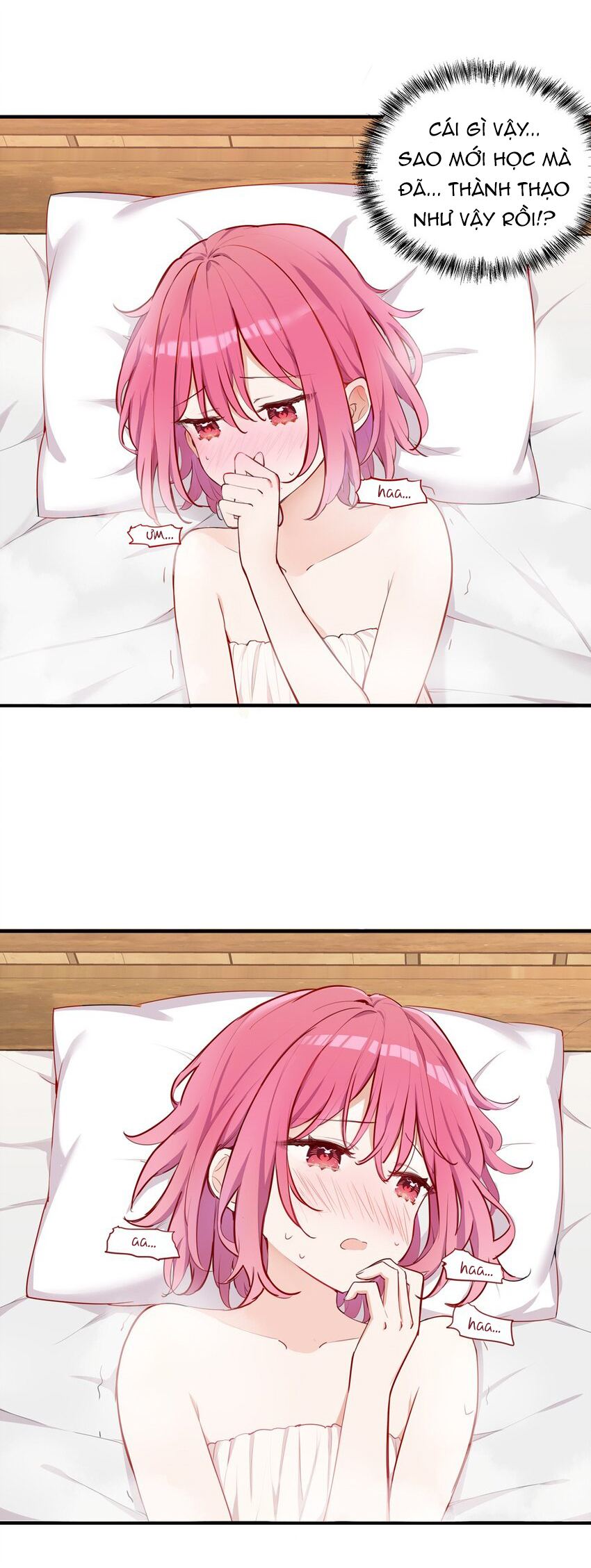 đọc truyện Bắt Nạt Mình Đi Mà, Nữ Phản Diện Ơi! Chương 57.5 ảnh 7 tại Thiên Thai Truyện