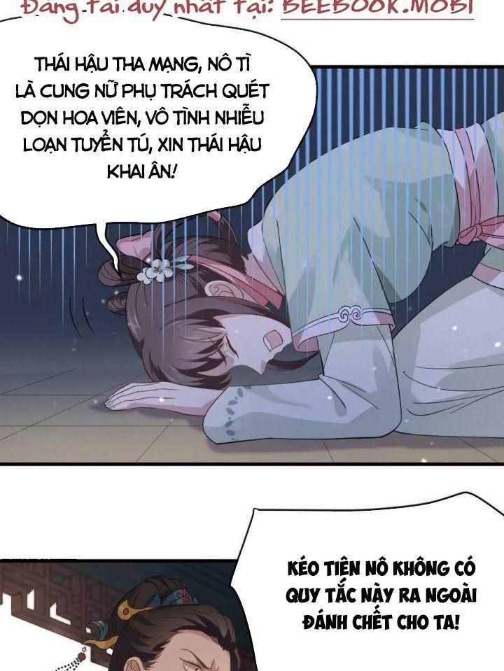 đọc truyện Bắt Ta Làm Cung Nữ? Ta Liền Cho Bạo Quân Quỳ Ván Giặt Đồ!!!! Chương 11 ảnh 2 tại Giả Dược