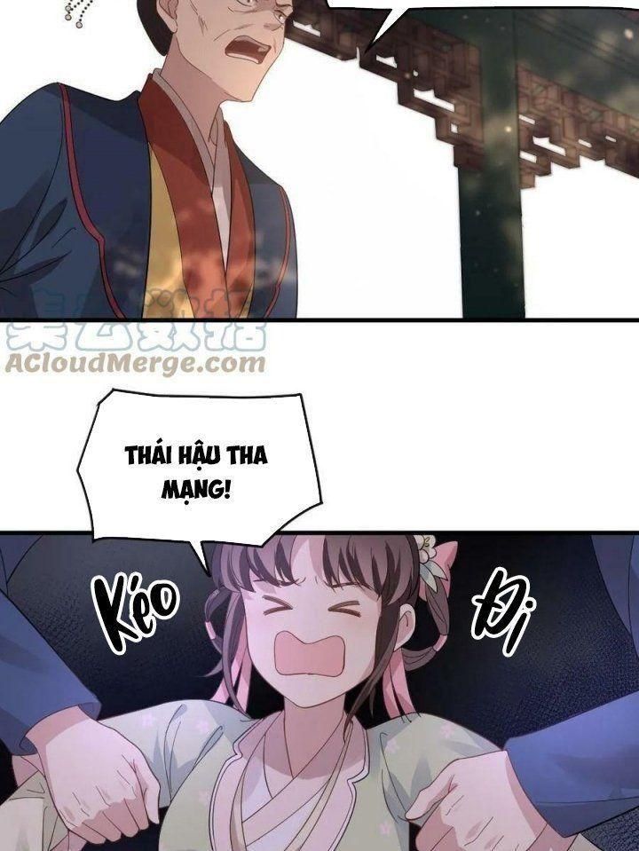 đọc truyện Bắt Ta Làm Cung Nữ? Ta Liền Cho Bạo Quân Quỳ Ván Giặt Đồ!!!! Chương 11 ảnh 3 tại Giả Dược