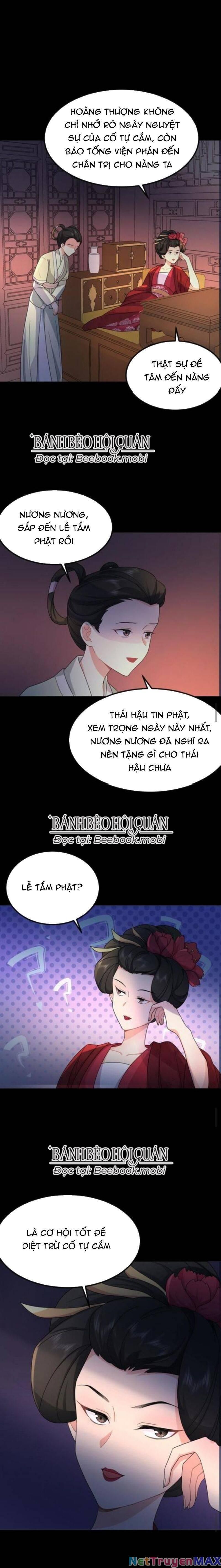 đọc truyện Bắt Ta Làm Cung Nữ? Ta Liền Cho Bạo Quân Quỳ Ván Giặt Đồ!!!! Chương 49 ảnh 8 tại Giả Dược