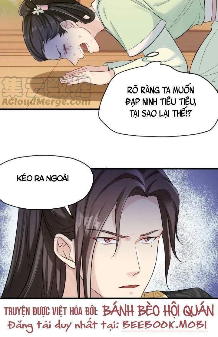 đọc truyện Bắt Ta Làm Cung Nữ? Ta Liền Cho Bạo Quân Quỳ Ván Giặt Đồ!!!! Chương 8 ảnh 5 tại Giả Dược