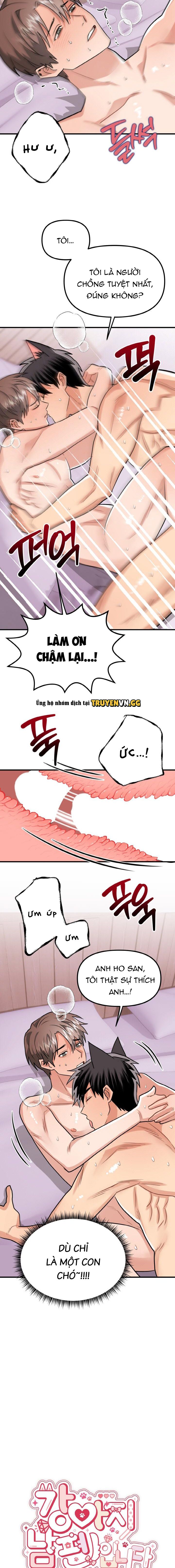 đọc truyện Bé Chồng Cún Con Của Tôi Chương 1 ảnh 4 tại Giả Dược