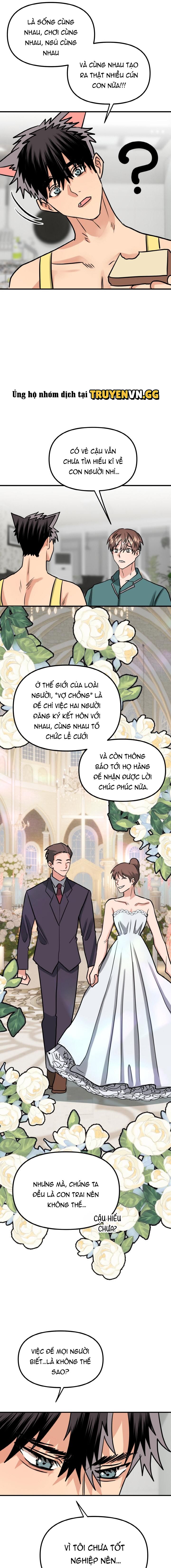 đọc truyện Bé Chồng Cún Con Của Tôi Chương 2 ảnh 3 tại Giả Dược