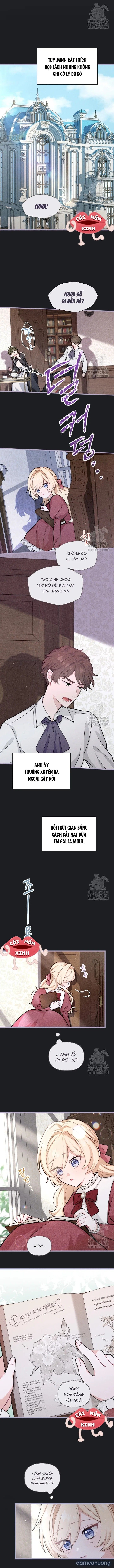 đọc truyện Bệ Hạ, Xin Hãy Quên Tôi Đi Chương 10 ảnh 7 tại Thiên Thai Truyện