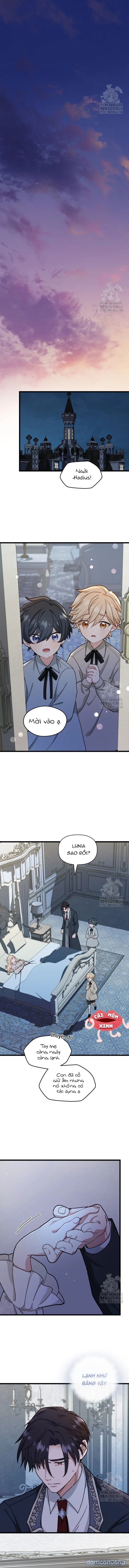 đọc truyện Bệ Hạ, Xin Hãy Quên Tôi Đi Chương 15 ảnh 7 tại Thiên Thai Truyện