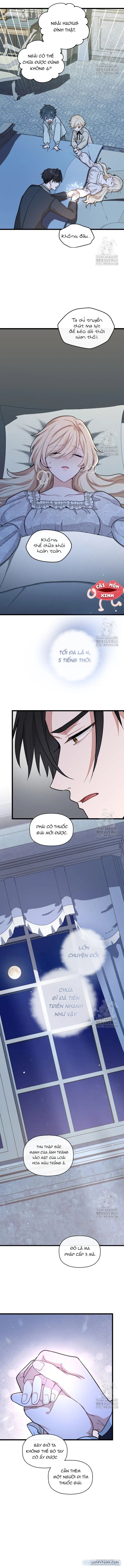 đọc truyện Bệ Hạ, Xin Hãy Quên Tôi Đi Chương 15 ảnh 9 tại Thiên Thai Truyện