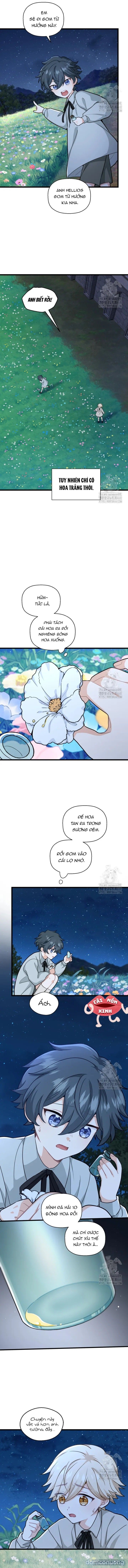 đọc truyện Bệ Hạ, Xin Hãy Quên Tôi Đi Chương 16 ảnh 4 tại Thiên Thai Truyện