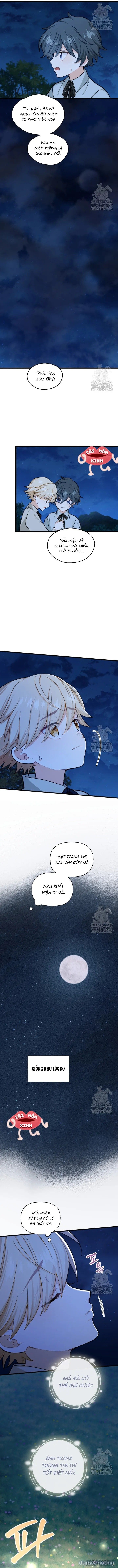 đọc truyện Bệ Hạ, Xin Hãy Quên Tôi Đi Chương 16 ảnh 9 tại Thiên Thai Truyện