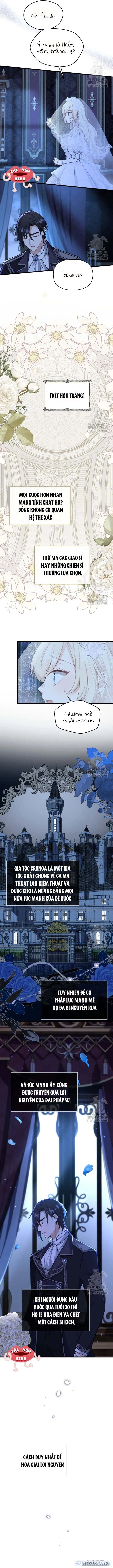 đọc truyện Bệ Hạ, Xin Hãy Quên Tôi Đi Chương 2 ảnh 3 tại Thiên Thai Truyện