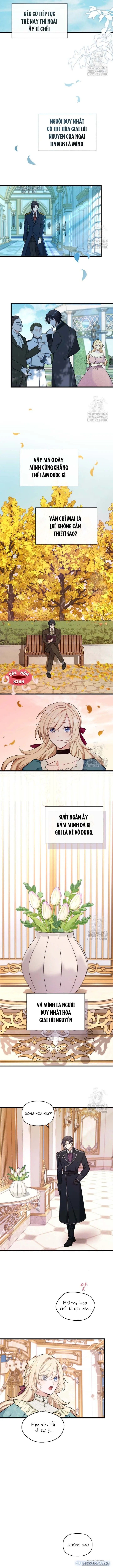 đọc truyện Bệ Hạ, Xin Hãy Quên Tôi Đi Chương 2 ảnh 5 tại Thiên Thai Truyện