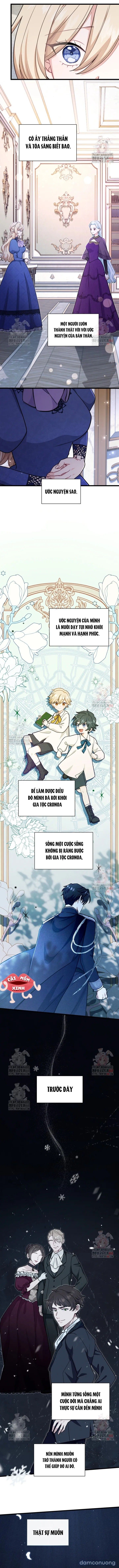 đọc truyện Bệ Hạ, Xin Hãy Quên Tôi Đi Chương 24 ảnh 8 tại Thiên Thai Truyện