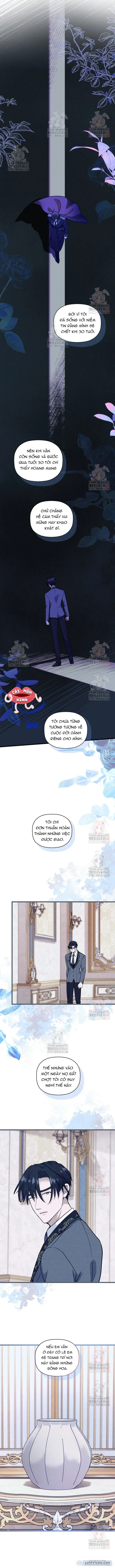 đọc truyện Bệ Hạ, Xin Hãy Quên Tôi Đi Chương 26 ảnh 10 tại Thiên Thai Truyện