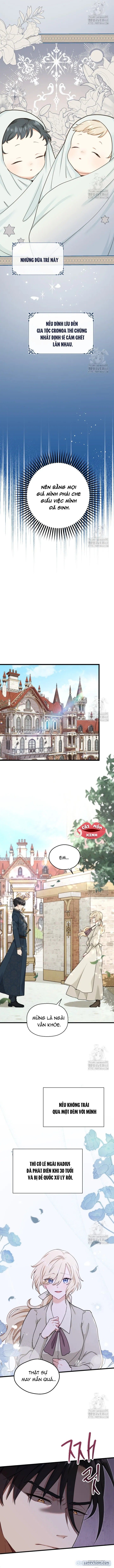 đọc truyện Bệ Hạ, Xin Hãy Quên Tôi Đi Chương 3 ảnh 6 tại Thiên Thai Truyện