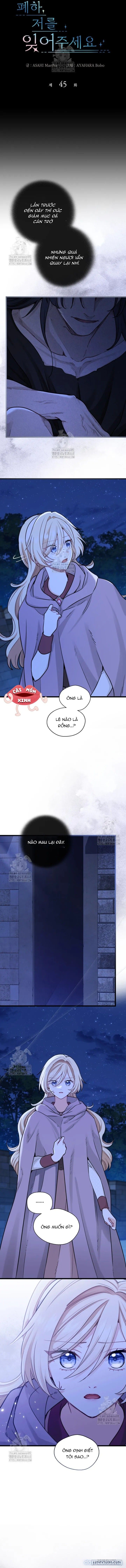 đọc truyện Bệ Hạ, Xin Hãy Quên Tôi Đi Chương 45 ảnh 3 tại Thiên Thai Truyện